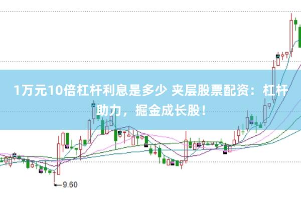 1万元10倍杠杆利息是多少 夹层股票配资：杠杆助力，掘金成长股！