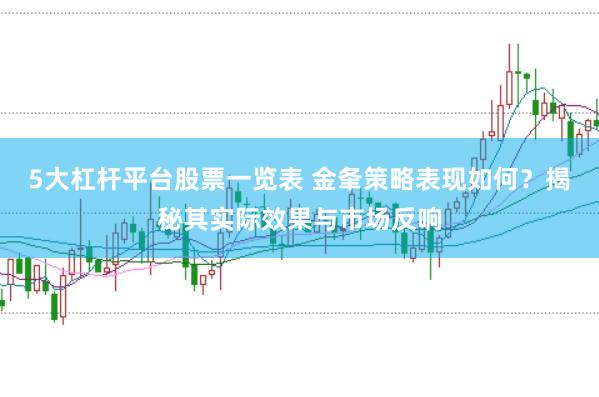 5大杠杆平台股票一览表 金夆策略表现如何？揭秘其实际效果与市场反响