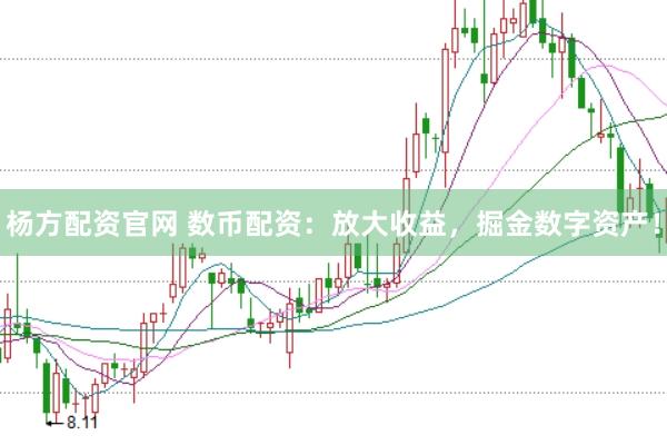 杨方配资官网 数币配资：放大收益，掘金数字资产！