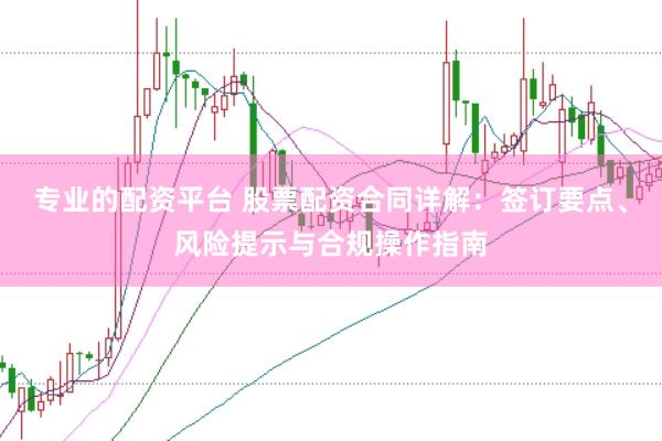 专业的配资平台 股票配资合同详解：签订要点、风险提示与合规操作指南