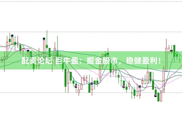 配资论坛 巨牛盈：掘金股市，稳健盈利！