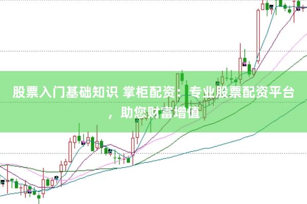 股票入门基础知识 掌柜配资：专业股票配资平台，助您财富增值