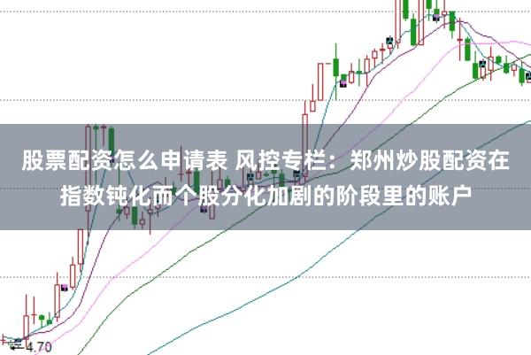 股票配资怎么申请表 风控专栏：郑州炒股配资在指数钝化而个股分化加剧的阶段里的账户